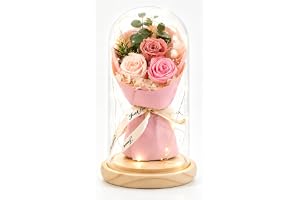 Wapasezyar Konstgjorda eviga rosor i glaskupol med LED-lampor | Bevarade riktiga blommor i glasdomen eviga blommor presenter, för kvinnor mamma mormor för årsdag och heminredning