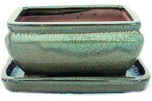 exotenherz - Bol à bonsaï avec soucoupe taille 2 - marron olive - carré - modèle G81 - L 14,5 cm - l 11,3 cm - H 6,6 cm