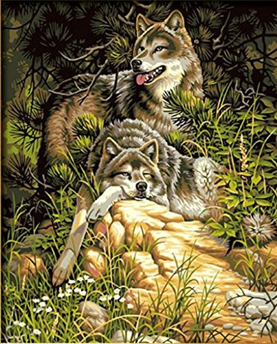 Wild & Free Wolves-DIY-Malerei malen nach Zahlen Kit Ölgemälde Wolf Liebe 16x20 Zoll Frameless