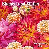 Image de Blumen und Blüten Flowers and Blossoms 2018 - Broschürenkalender - Wandkalender - mit herausnehmba