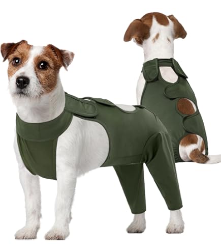 Tuta Recupero Zampe Posteriori Cani MHaustlie - Alternativa Al Collare Elisabetta - Foto 12