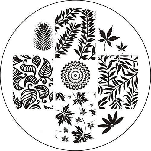Born Pretty Nail Art Stamp Template Image Plate Leaves Theme BP19