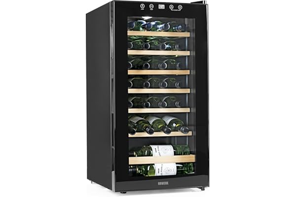 black friday wine fridge sales