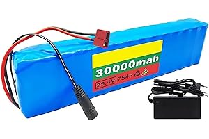 OMURGA 24V 29.4V 30Ah Batteries pour Vélo,24V Batterie De Vélo Électrique 7S4P Lithium Battery Pack Built in BMS with and Charger for 100W-200W 350W 500W Electric Scooter