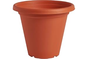 Clever Pots Plastic Plant Pot, 19cm/20cm Outdoor or Indoor Pot with Drainage Holes, Lightweight and Weather Resistant Planter for Flowers Plants