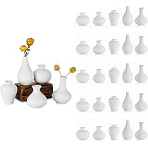Tanvecle Kleine witte vazen, keramische knopvaas, set van 5, mini