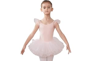 HIPPOSEUS Fille Robe de Ballet Danse Tutu Justaucorps de Ballet Danse Gymnastique Enfants Manches Courtes, Y-04WDM
