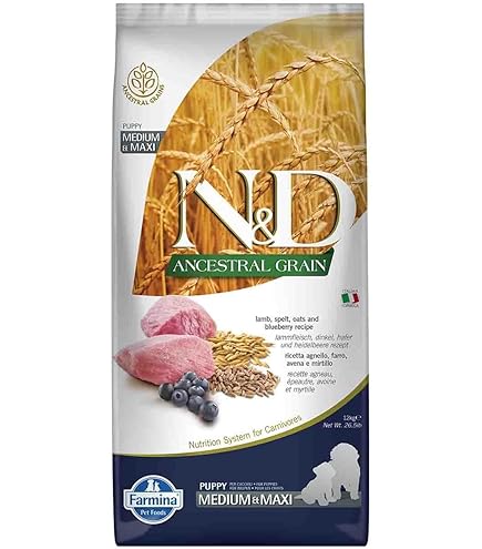 ND Pumpkin Tahılsız Kuzu Küçük Irk Yetişkin Köpek Maması 2,5 Kg