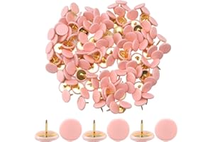 Ruidee 300 Pezzi Puntine a Testa Tonda Puntine da Disegno Puntina a Testa Tonda in Metallo Rivestito in Plastica Chiodi da Tappezzeria per Divani Lavagne Sughero Mobili(CTD/Pink)