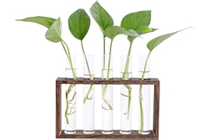 Hyindoor Desktop Glass Planter Propagation Station Wall Mounted Hanging Test Tube Vase with Wooden Stand Rack Terrarium Planter for Hydroponic Plants Cutting Office Home Decoration