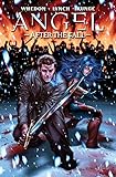 Angel: After the Fall Volume 3 by 