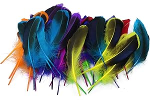 KITYEMO 54 Piezas Plumas Manualidades De Colors, Plumas de Colores, Plumas de la Decoración,Plumas Naturales Coloridas, Plumas Natural para Manualidades, Bodas, Casa, Decoración De Fiestas