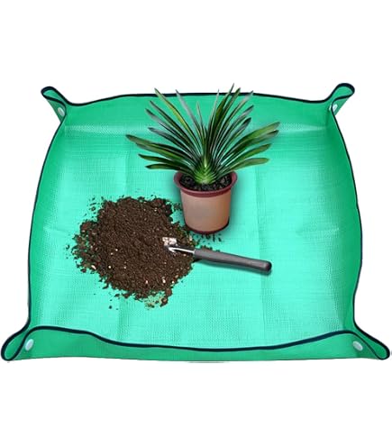 Attache Plantes 10m – Bande Nylon Vert Pour Tuteurer Et Guider Plantes Grimpantes – Jardinage Extérieur