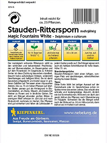 Delphinium x cultorum Rittersporn Magic Fountains White weiss - 2