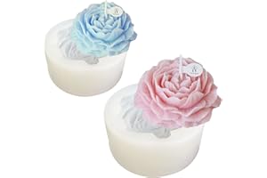 HAPHOME Kerzenform Silikonform Kerzen Gießen Formen - 2 Stück 3D DIY Kerzenformen zum Gießen,Lebensmittelqualität Kerzenform aus Sojawachs, zur Herstellung von Duftkerzen und Seifen