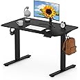 FLEXISPOT ONE PIECE Electric Standing Desk Height Adjustable Desk Sit Stand Desk with 4 Memory Smart Pannel and Backpack Hook for Home Office, 100 x 60cm Black