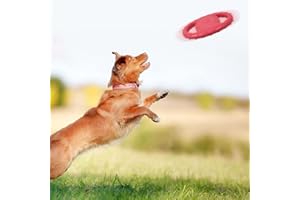 Irishom Pet Dog Flying Disc EVA Dog Training Ring con doppio manico Dog Flyer Giocattoli Attività all'aperto Floating Fetch Toy