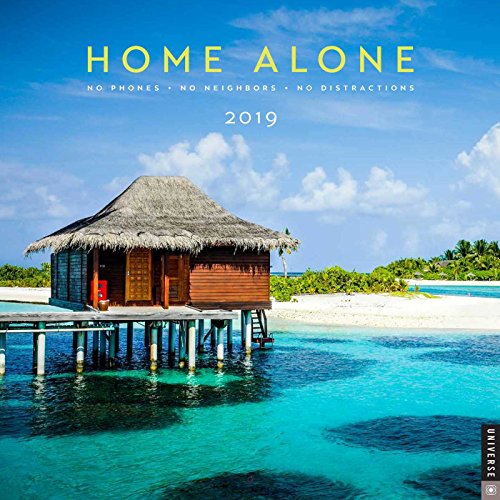 Preisvergleich Produktbild Home Alone 2019 Wall Calendar