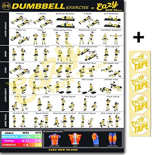 Eazy How To Dumbbell Exercise Workout Poster BIG 51 x 73cm Train Endurance, Tone, Build Strength & Muscle Home Gym Chart