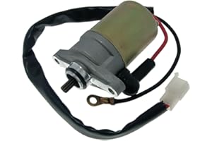 2EXTREME Anlasser Motor für FLEX TECH Cavallino 50cc, Cityleader, FIRENZE, FUN, HURRICAN, Luna, Riva, Speedy