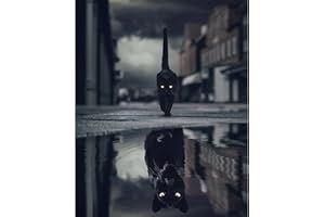 AIHONMIN Peinture par numéros pour adultes, motif chat noir ou panthère noire, peinture acrylique aquarelle pour débutants, enfants, décoration murale, 40,6 x 50,8 cm (l x H) (sans cadre)