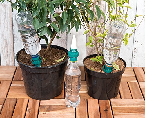 Royal Gardineer Pflanzen-Bewässerungssystem mit Tonspitze und Flaschenaufsatz, 6er-Set - 5