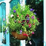 Ratán natural Hängeampel 30cm Rustikal Naturmaterial, mit Folie