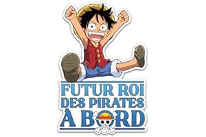 FFRAME Autocollant bébé à bord, roi des pirates à bord 16x15cm vinyle haute qualité, autocollant voiture, moderne et fun, 100% français