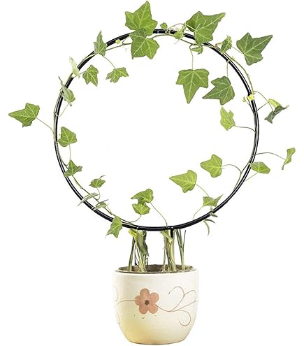 Set Da 16 Clip Per Piante Rampicanti - Supporti Da Giardino In Plastica Nera - Tralicci Per Steli E Fusti - 4 Misure Dfferenti (6-13,7 Cm)