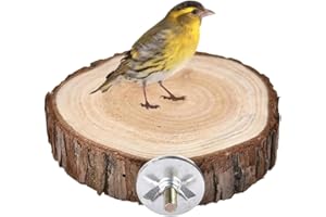 MORICES Birds Round Perch Platform, 6cm Wooden Perch Platform for Bird Cage, Parrots Perch Playground Stand Exercise Toy Standing Cage Accessories for Small Parakeets Cockatiels Hamster Gerbil Rat Mouse