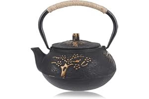 Kafuty Tetera tetera de hierro fundido, hervidor de tetera de hierro resistente a la corrosión de 0.9L, adecuado para cocina de inducción o estufa de hierro fundido