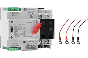 IGEYAPA AC16-100A ATS Fotovoltaico Interruttore Switch Solare Automatico Trasferimento W2R 2P 220V Doppia Alimentazione Adatto Per UPS Industriali E Domestici