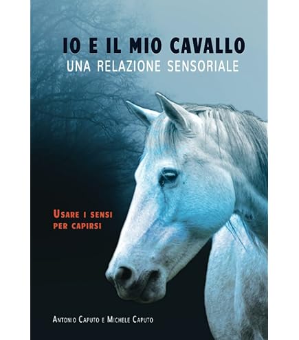 Filetto Per Guanciale Baucher Con Losanga In Miscela Di Rame, Filetto Per Cavallo Angolato, 4,5" - 6" Tutte Le Misure, Magazzino Nel Regno Unito - Italia - Foto 8