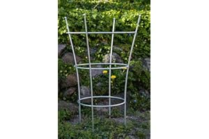 KUHEIGA Stabiler Staudenhalter Verzinkt H: 80cm, Volleisen Strauchhalter, Rankgerüst,