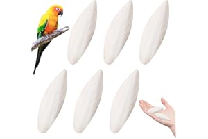 WUSANNA 6 Stück Sepiaschalen Sepiaschalen für Schildkröten Sepiaschalen für Vögel Sepiaschalen für Schnecken Sepiaschale Geeignet für Schildkröten Vögel Reptilien Kalzium und Mineralstoffvorräte