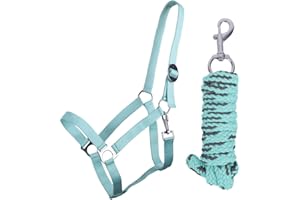 QHP B.V. QHP Halfter-Set Beginner Halfter + Führstrick Karabinerhaken verstellbar (Minishetty, Ice Green)