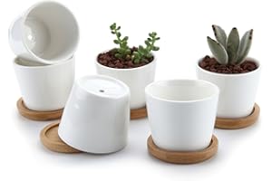 T4U 6.5CM ceramiczne doniczki na sukulenty kaktusy mini doniczki ze spodkiem okrągły biały zestaw 6