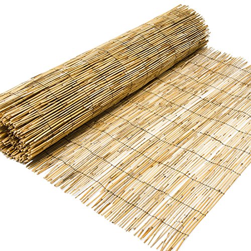 Schilfrohrmatte Sichtschutz Gobi 300x90 cm