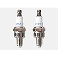 Sadaiv Nipun Super Plus Spark Plug Gx35 4 Stroke Spark Plug (Pack of 2) for GX35 35CC Brush Cutter Japanese Technology Copper Spark Plugs (Pack of 2)