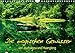 Produktbild Die magischen Gewässer von Jiuzhaigou und Huanglong (Wandkalender 2018 DIN A4 quer): Zauberhate Seenlandschaften, mit traumhaften Spiegelungen im ... ... [Kalender] [Apr 11, 2017] Joecks, Armin