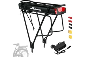 Adaluolo 36V 15AH Batteria Bicicletta Elettrica con Portapacchi Posteriore Batteria Ebike agli ioni di litio con Caricabatterie, Fanale Posteriore per Motore 200W-750W per Bicicletta 24" 26" 28”
