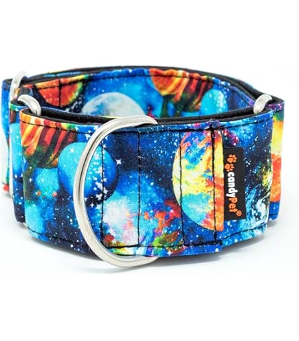 Galguita Amelie Martingale-Halsband Für Hunde – Anti-Escape, 5 Cm Breit, Größe M