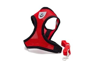 Locisne Mesh Tissu Dog Vest Harnais souple réglable confortable | Pet Chest Lead Walking Leash avec clip