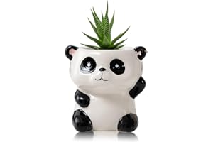 BLOSSOMLIFE Niedlicher Tier-Pflanzgefäß, Mini-Keramik-Carto-Tier-geformter Sukkulenten-Blumentopf für den Innenbereich, Mini-Blumenvase, lustige Tierdekoration (Panda)