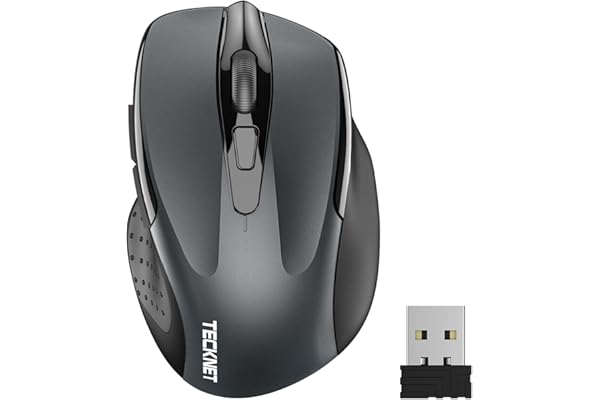 TECKNET Souris sans Fil, 2.4G Souris Optique avec 2600 DPI, Souris Ergonomique pour Ordinateur Portable, PC avec Récepteur USB, Gris