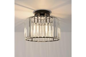 ANWIO Lampadario Cristallo Nero, Plafoniera con Cristalli E27 con 1 Luce, Lampadari Soggiorno Cristallo Moderno, Lampadario con Paralume in Vetro Per Camere da Letto, 26.5 CM (Senza Lampadine)Kitchen