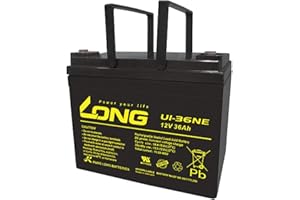 WSB BATTERY 1x AGM 12V / 36Ah Blei-Akku - U1-36NE zyklenfest, kompatibel MP36-12C REC36-12I 12LCP-36 34Ah 35Ah 38Ah