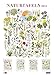 Naturtafeln, Poster-Kalender 2015 by