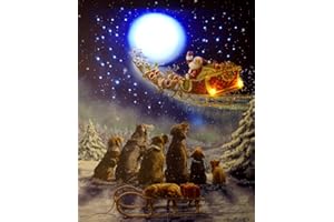 CBK-MS Leuchtbild Hunde im Winter mit Renntierschlitten im Mond Batteriebetrieb Wandbild mit LED + Glasfaser Beleuchtung Bild 30 x 40 cm