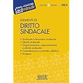 Elementi di Diritto Sindacale: Sindacato e fenomeno sindacale - Libertà sindacale - Organizzazione, rappresentanza e attività